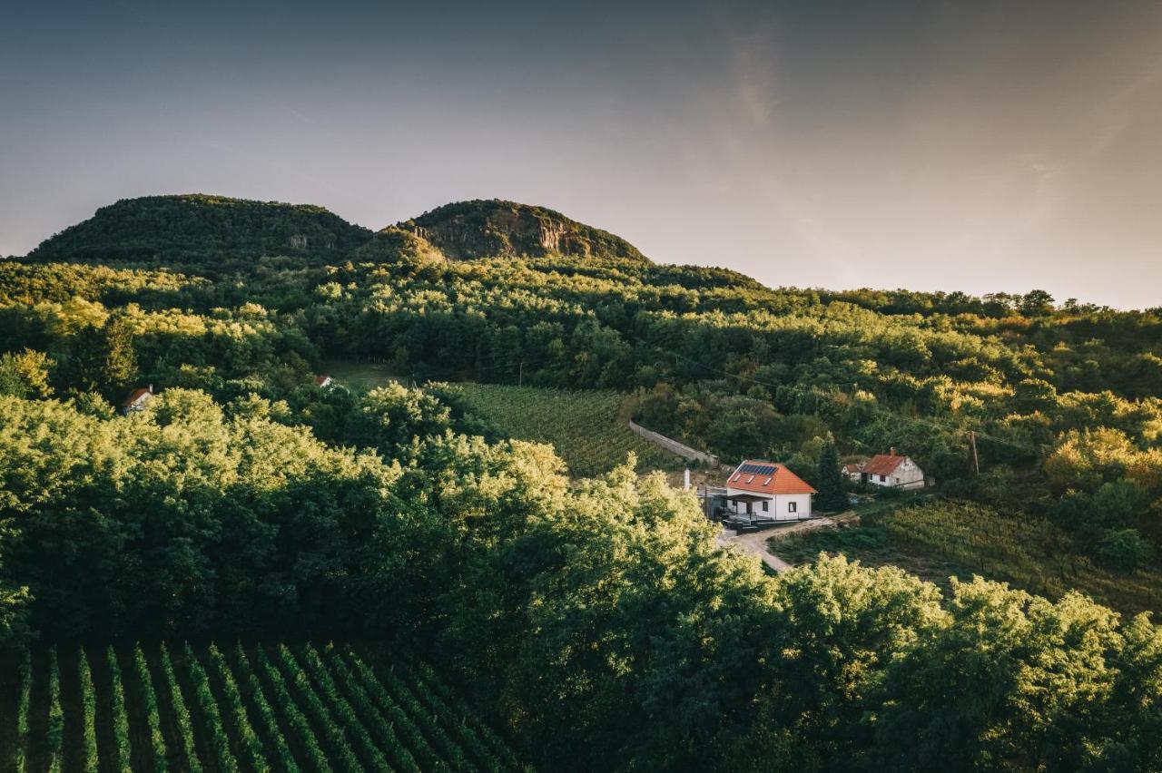 Hotel Fata Birtok Nemesgulács Exteriér fotografie